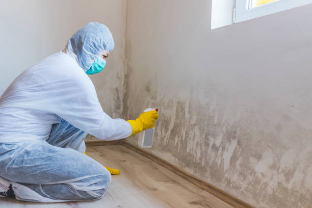 Licensed Crawl Space Mold Removal service in Willow Spring, NC - WQB Mold Removal