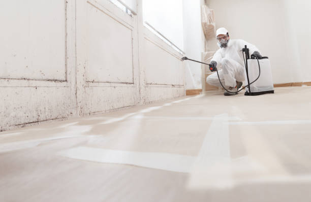 24/7 Emergency Crawl Space Mold Removal experts in Willow Spring, NC