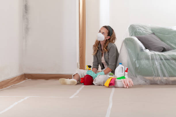 Reliable Crawl Space Mold Removal contractor in Willow Spring, NC by WQB Mold Removal