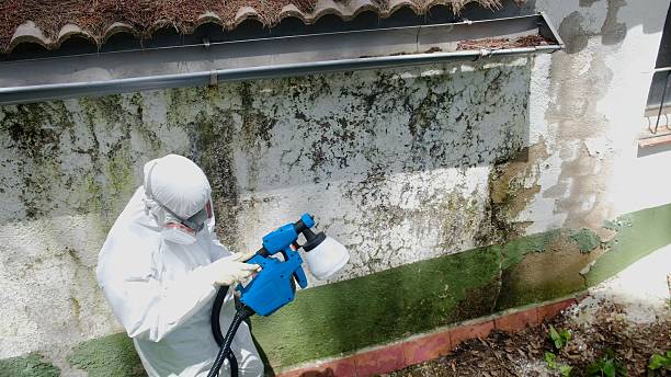 Top rated local Crawl Space Mold Removal specialists in Willow Spring, NC